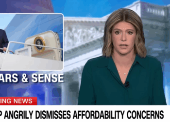 Trump Agenda ‘Could Work’ But Will Hurt Americans!