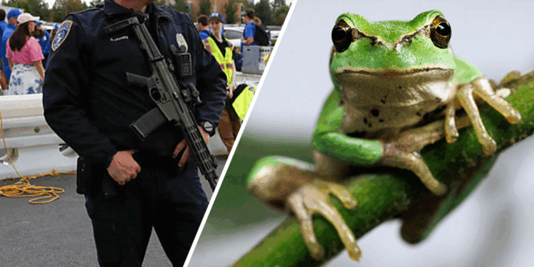 Utah police report claims officer shape-shifted in a frog