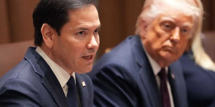 'We will deport these thugs': Rubio's State Department revokes 100,000+ visas in 2025, putting Biden's numbers to shame