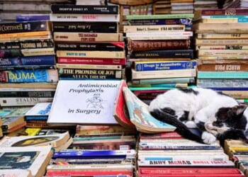 Why I observe the Sabbath — and you should too