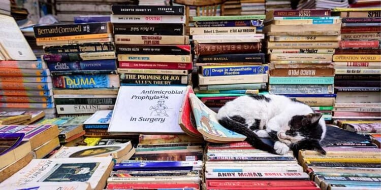 Why I observe the Sabbath — and you should too