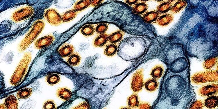 Why biodefense must be a national security priority 