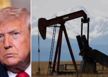 ‘Energy is the whole ballgame’