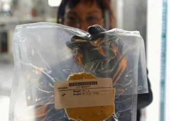 ‘Gross’: WEF elites push for fake, lab-grown meat