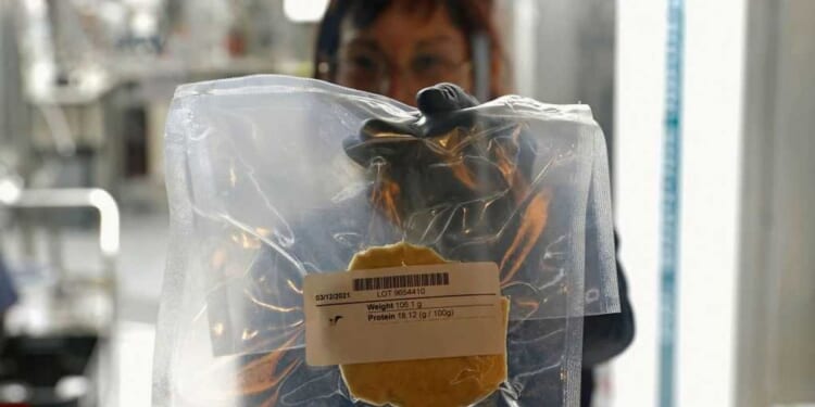 ‘Gross’: WEF elites push for fake, lab-grown meat