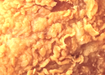 Pakistani 'American Dreamer' Pleads Guilty in $2.4 Million Illegal Alien Tax Fraud