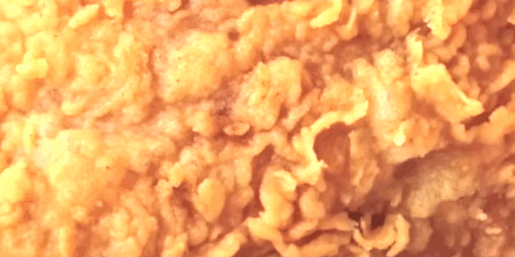 Pakistani 'American Dreamer' Pleads Guilty in $2.4 Million Illegal Alien Tax Fraud