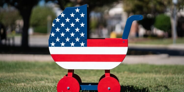 White Births Fall Below 50% for First Time