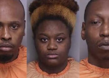 Woman thought she was buying a puppy — instead she's lured into an ambush, shot, set on fire in likely revenge killing: Cops