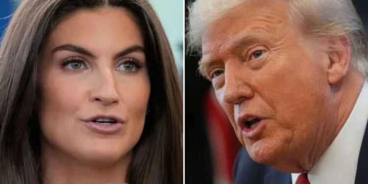 Trump shames Kaitlan Collins for not smiling when interviewing the president