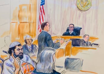 Man accused of attacking DC National Guard members pleads not guilty