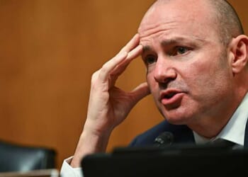 Mike Lee reveals the real victims of Somali fraud: 'It is not the rich people who suffer'