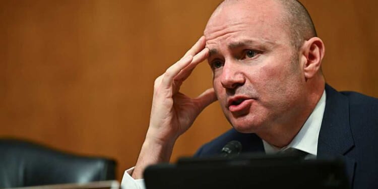 Mike Lee reveals the real victims of Somali fraud: 'It is not the rich people who suffer'