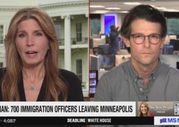 MS NOW's Nicolle Wallace Repeatedly Claims ICE Used Child as Bait