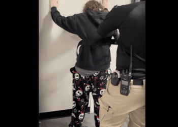 12-year-old Florida girl posts 'detailed manifesto' about conducting mass shooting at middle school over bullying: Cops