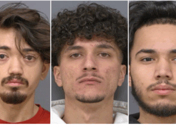 Muslim Sex Grooming Gangs Spread to Canada