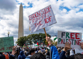 Would You Believe That Democrats Were Not Anti-Israel Enough in 2024?