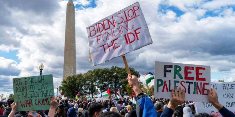 Would You Believe That Democrats Were Not Anti-Israel Enough in 2024?
