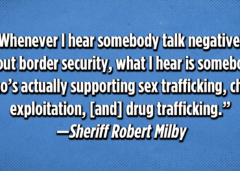 Wednesday Short Cuts