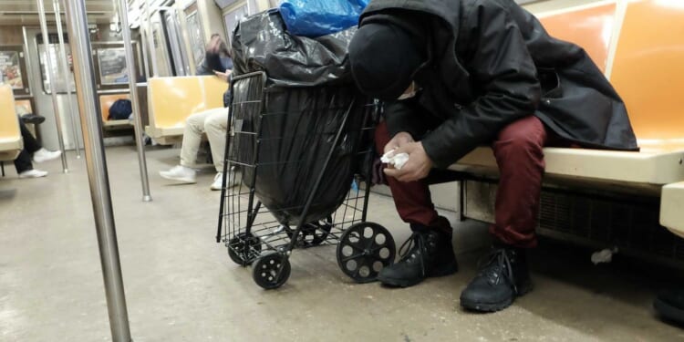 Random complaint about homeless woman urinating on NYC train goes viral: 'That's why we must abolish the nuclear family'