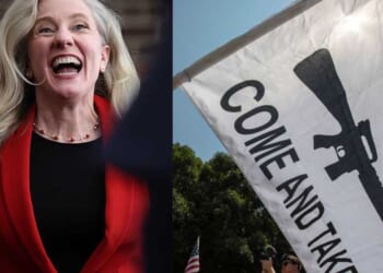 Virginians oppose Richmond's war on the Second Amendment: Poll