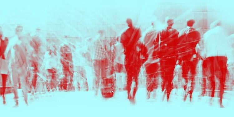 The great replacement, American style