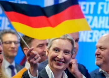 A welcome AfD court ruling for German democracy