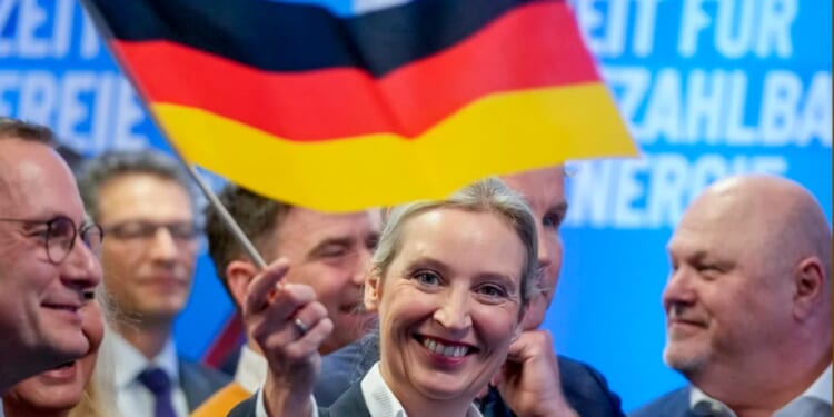 A welcome AfD court ruling for German democracy
