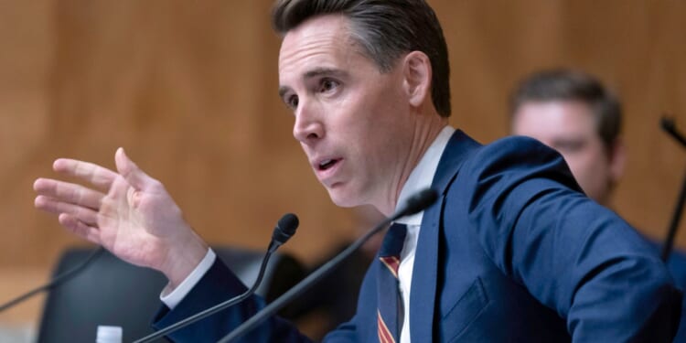 GOP senator urges DOJ investigation into anti-ICE protests funding