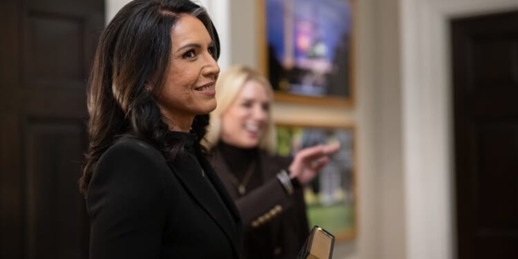 Gabbard Providing Oversight Isn't 'Dangerous To Our Democracy'