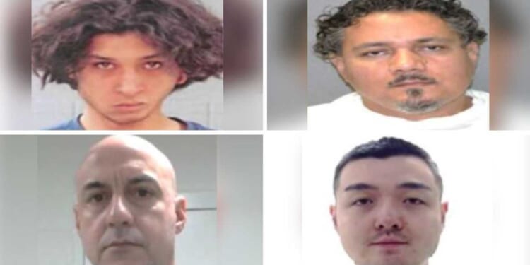 ICE rounds up kidnapper and child predator: 'Thugs have no place in our communities'