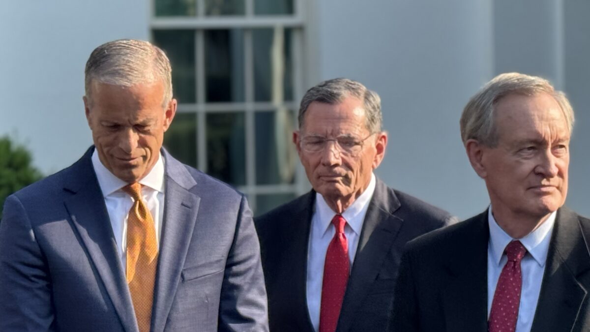 thune filibuster save america act