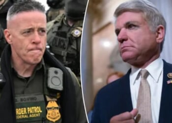 McCaul says Bovino 'crossed the line,' praises Trump for relieving him