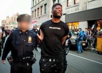 One More Mamdani Staffer Calls for Killing All Israelis