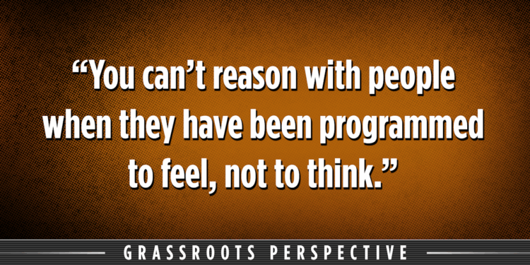 Roger Helle: 'The Real Housewives of Minneapolis'