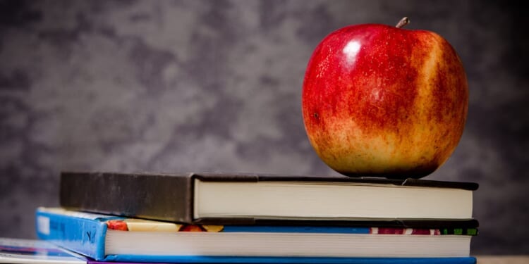 Tennessee Can Stop Illegals From Overrunning American Schools