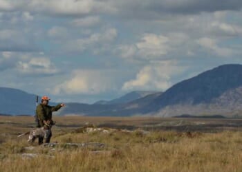 The day my father handed me the gun