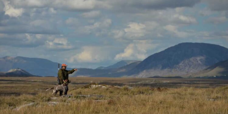 The day my father handed me the gun