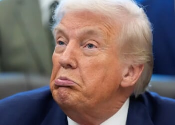 The 'federal government should get involved' in elections: Trump