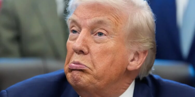 The 'federal government should get involved' in elections: Trump