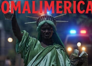 'Somalimerica': Exposing Somali Fraud, Crime and Terror: Now in Print