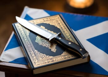 Somali Migrant Stabs Woman, Others, While Trying to Break Into Scottish Nursery