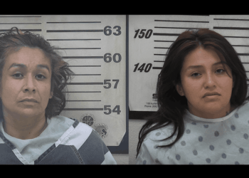 Machete-wielding females beat up homeowner in robbery try, cops say. But victim ends attack with single shotgun blast.