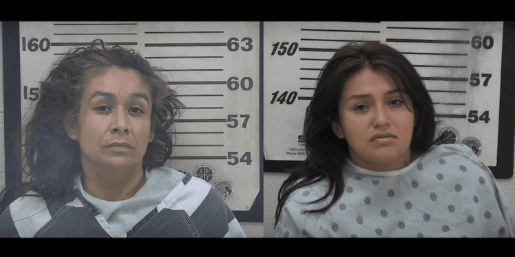 Machete-wielding females beat up homeowner in robbery try, cops say. But victim ends attack with single shotgun blast.