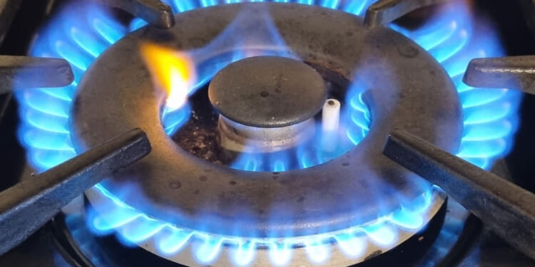 House Passes Bill Pushing Back on Federal Appliance Meddling