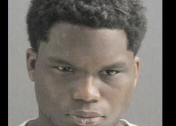 Thug who brutally raped 94-year-old in broad daylight had just been released after other rape charge was dropped, police say