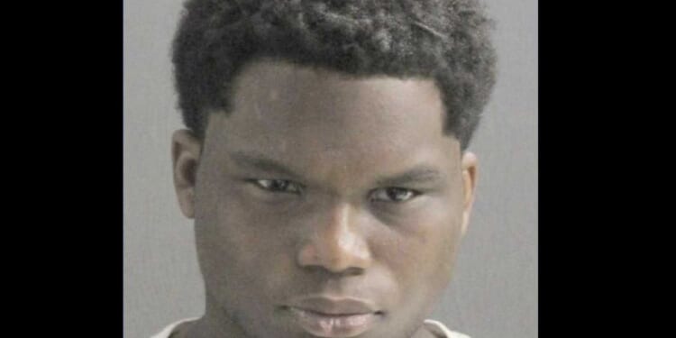 Thug who brutally raped 94-year-old in broad daylight had just been released after other rape charge was dropped, police say