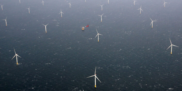 Net Zero’s Green and Defenseless Land