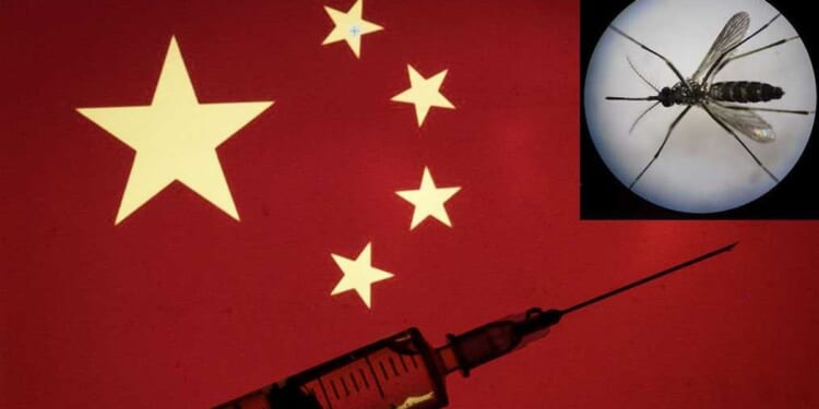 Chinese scientists have turned mosquitoes into flying vaccines — that can still bite humans