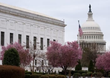 What to expect from DC traffic amid peak cherry blossom season